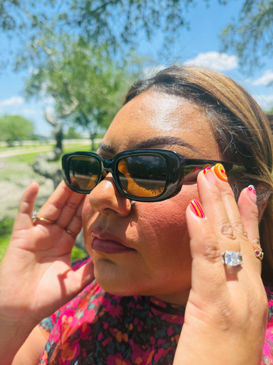 Black/Brown Sunglasses